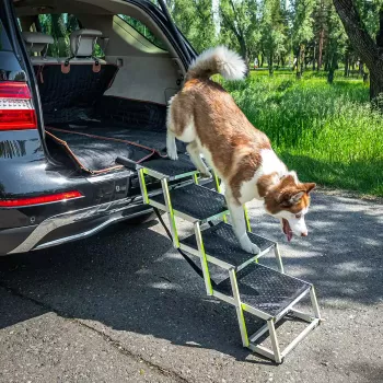 Owleys Tailgate Car Dog Ramp: Safer SUV & Truck Loading